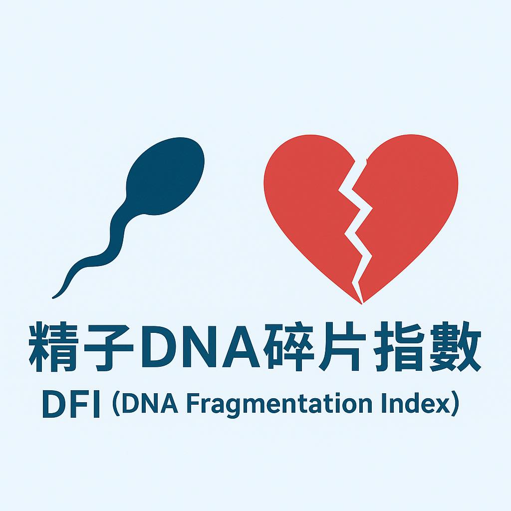 精子DNA碎片指數